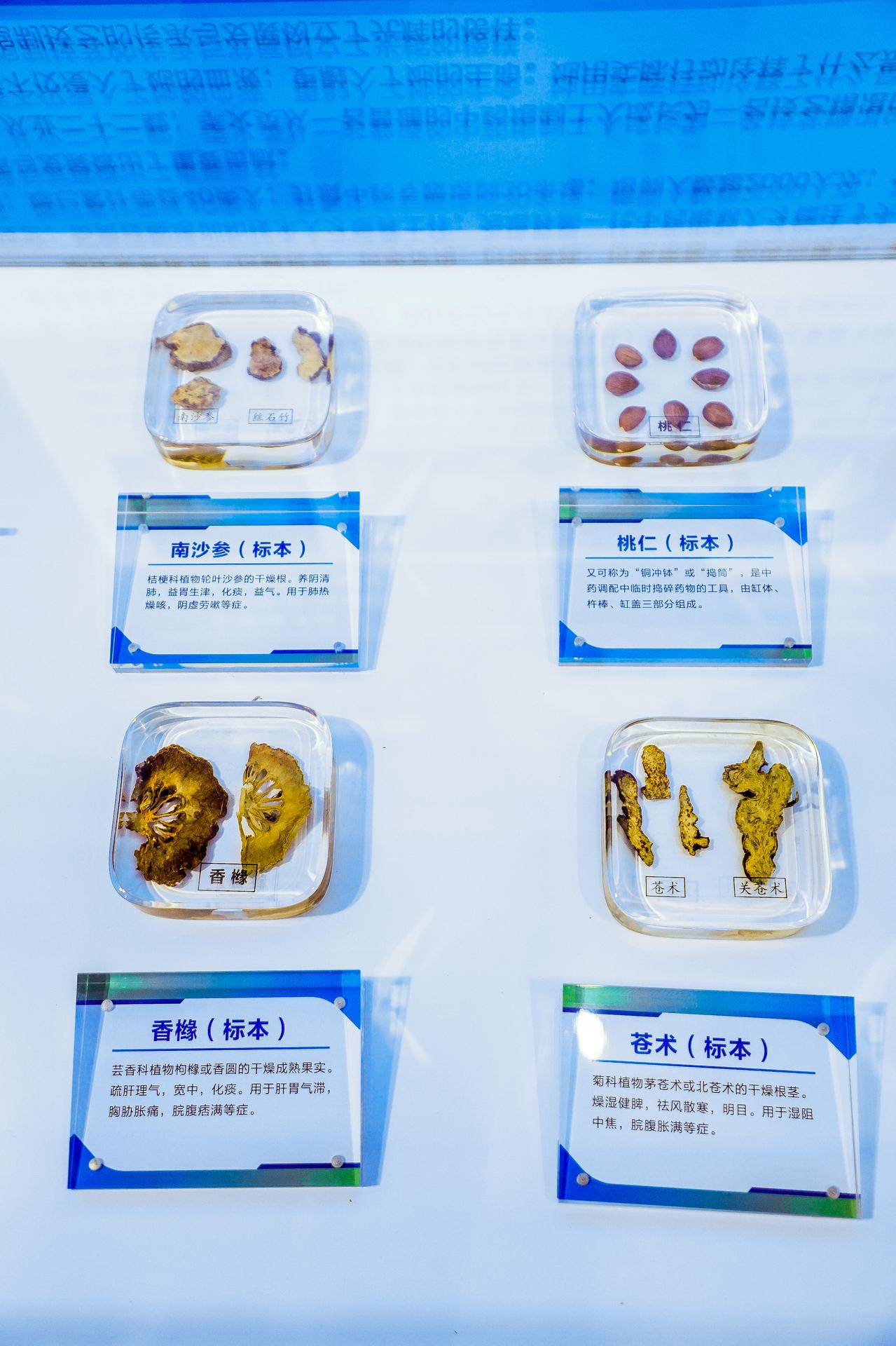 杭州会议摄影-“医路匠心  健康同行”生物医药与医疗器械产业集群职工创新主题展馆【图片直播】-现场照片-2