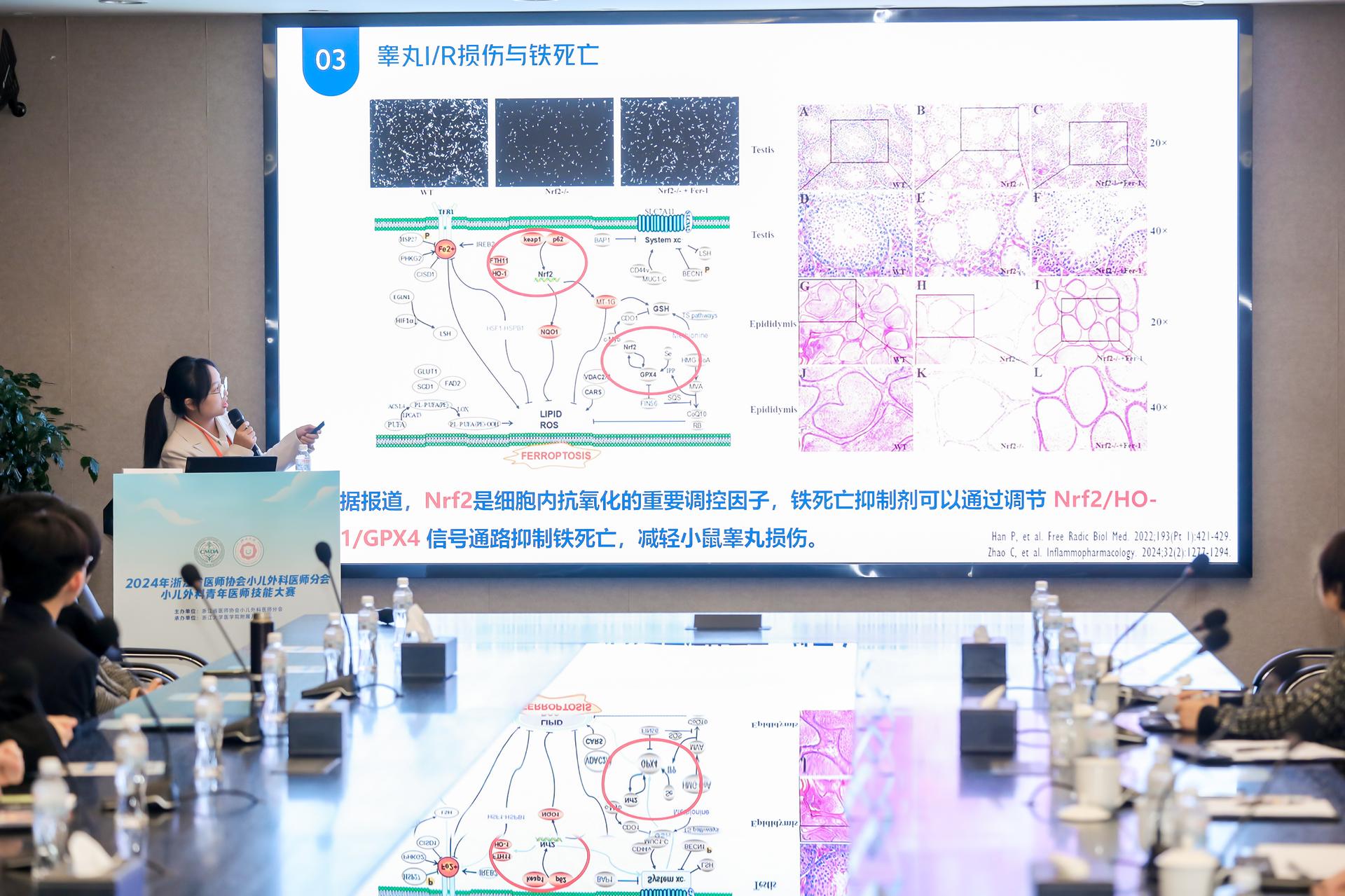 杭州会议摄影-2024年浙江省医师协会小儿外科医师分会小儿外科青年医师技能大赛【图片直播】-现场照片-7
