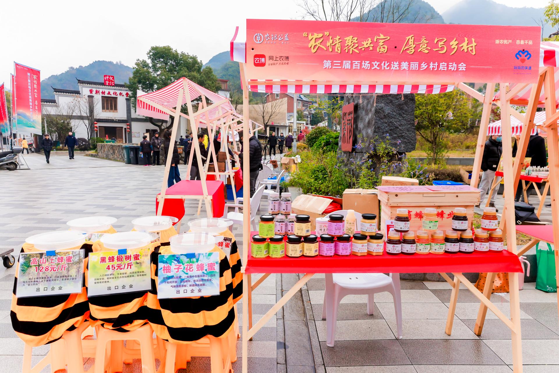 杭州会议摄影-“农”情聚共富·厚意写乡村 第三届百场文化送美丽乡村启动会【图片直播】-现场照片-19